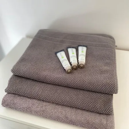 Appartement Cocon Au Cœur De Dijon