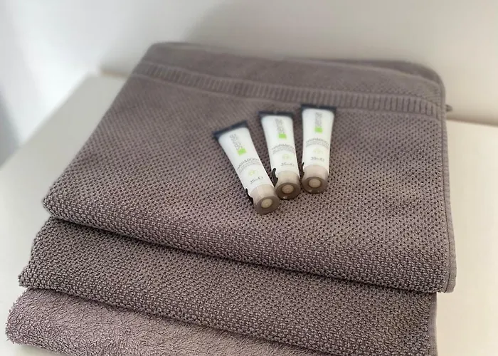 Apartment Cocon Au Coeur De Dijon